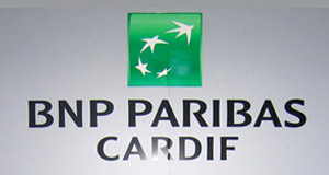 teb-bnp-paribas-cardif_20170503010206