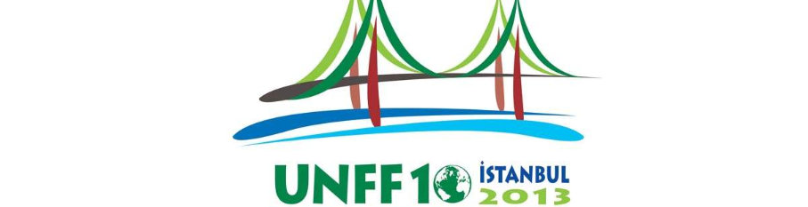 UNFF-1 2013