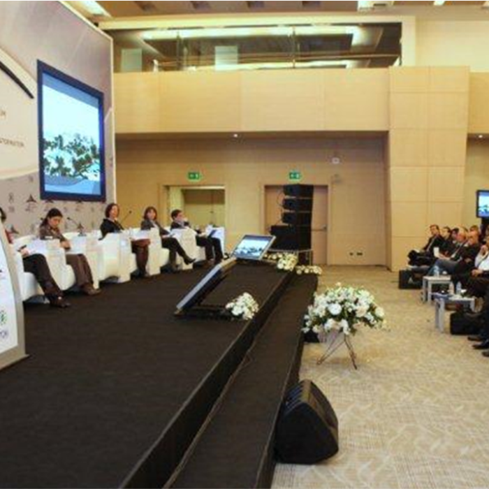 2011 Konut Kurultayı