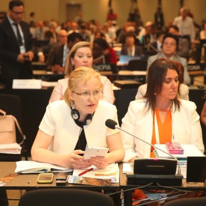 40th-session-of-the-world-heritage-committee-in-istanbul_9162