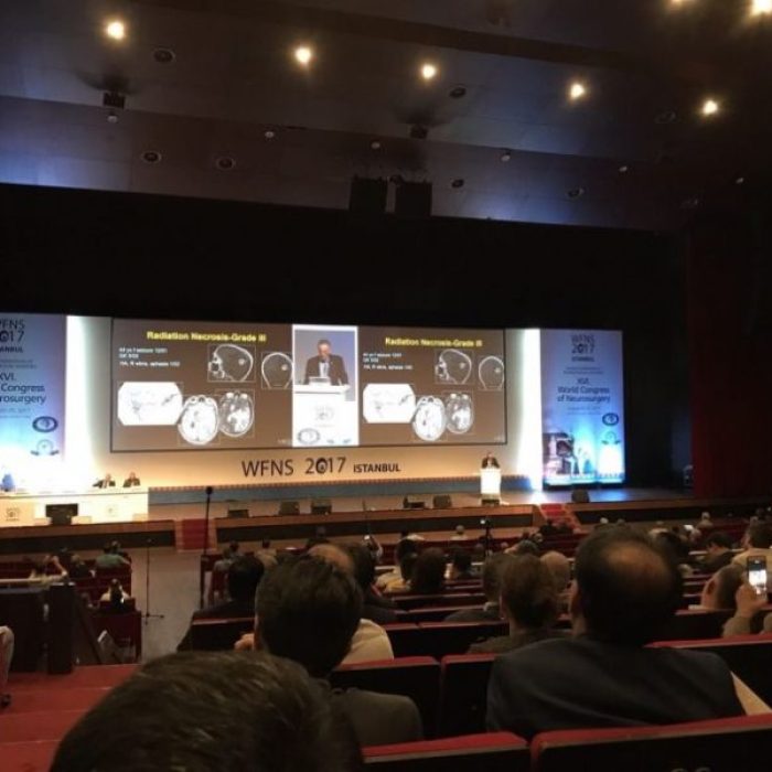 wfns-2017-istanbul-turkey_1327