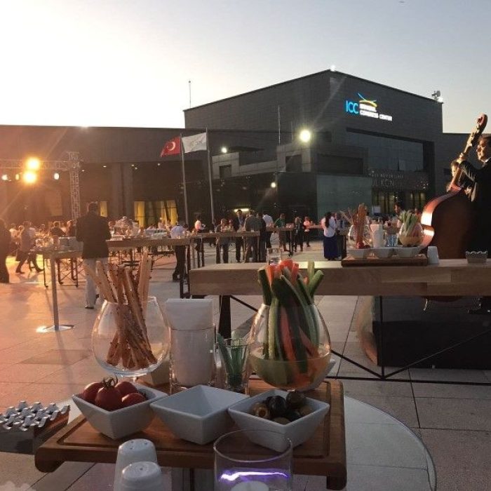 wfns-2017-istanbul-turkey_1474